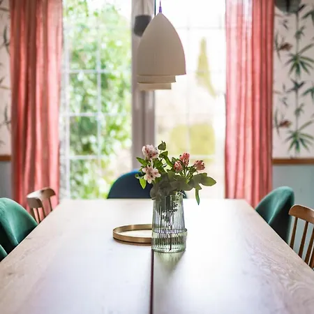 Saltic غجيبوفو