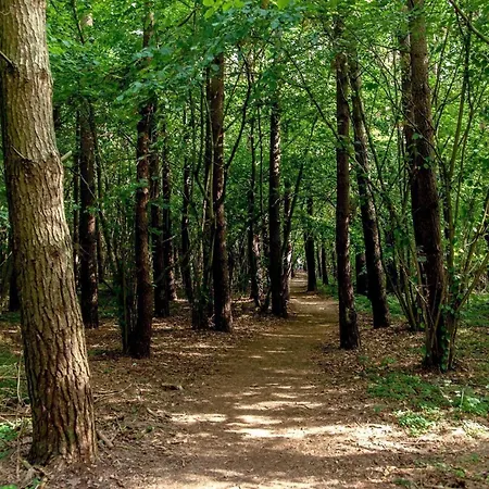 Saltic Villa Grzybowo (West Pomeranian)