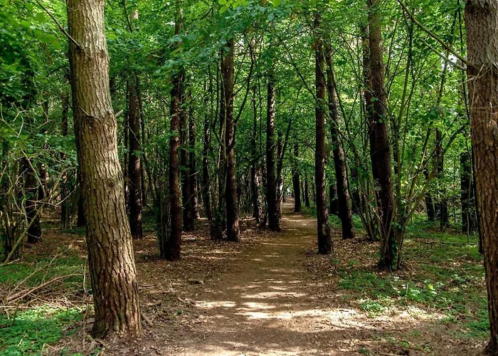 Saltic Villa Grzybowo (West Pomeranian)